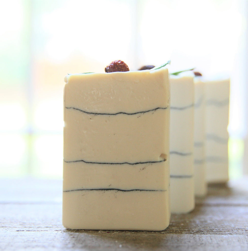 Lingonberry with Activated Charcoal Soap| Cold Process Soap | Handmade Soap | Tussah Silk |