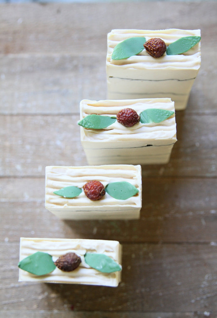 Lingonberry with Activated Charcoal Soap| Cold Process Soap | Handmade Soap | Tussah Silk |