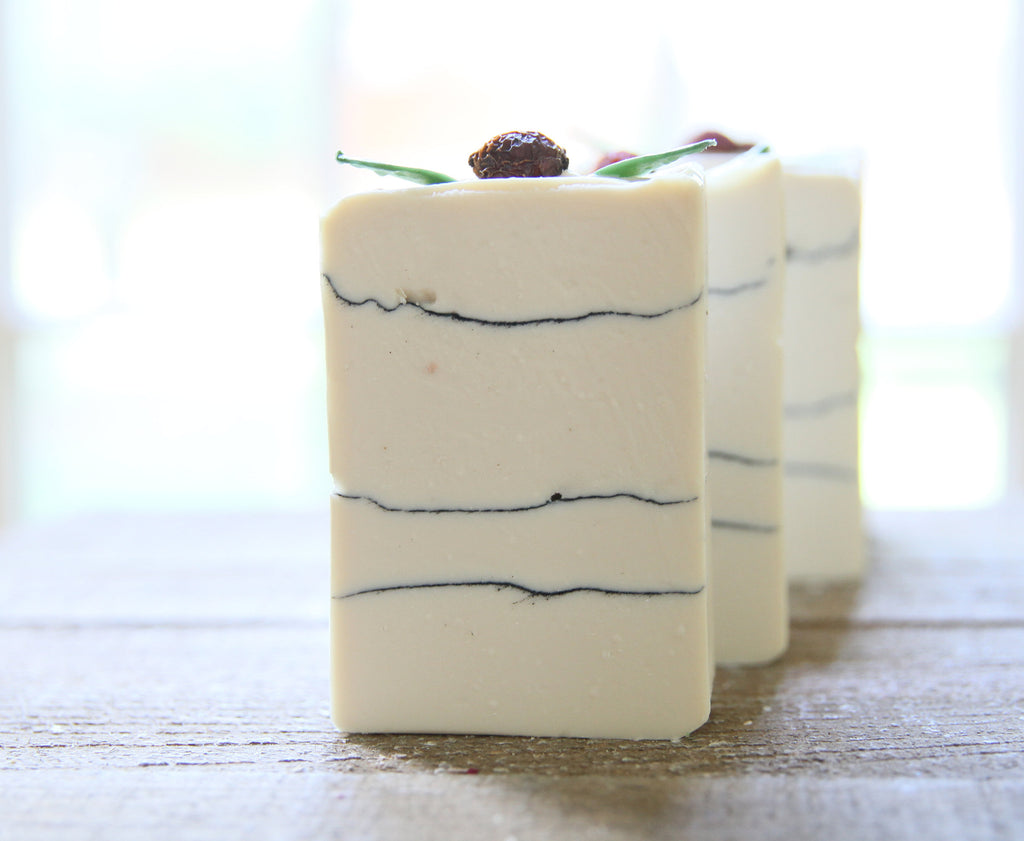 Lingonberry with Activated Charcoal Soap| Cold Process Soap | Handmade Soap | Tussah Silk |
